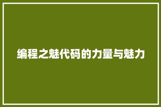 编程之魅代码的力量与魅力