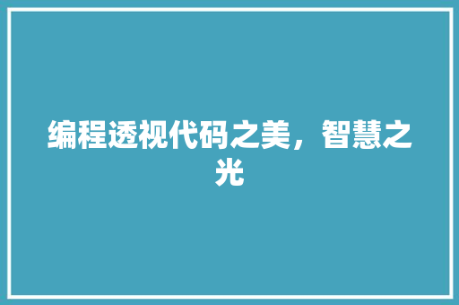 编程透视代码之美，智慧之光