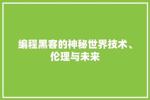编程黑客的神秘世界技术、伦理与未来