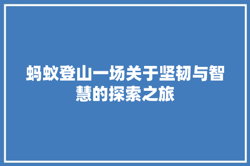 蚂蚁登山一场关于坚韧与智慧的探索之旅