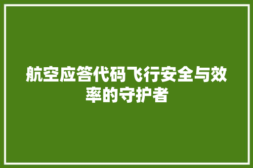 航空应答代码飞行安全与效率的守护者