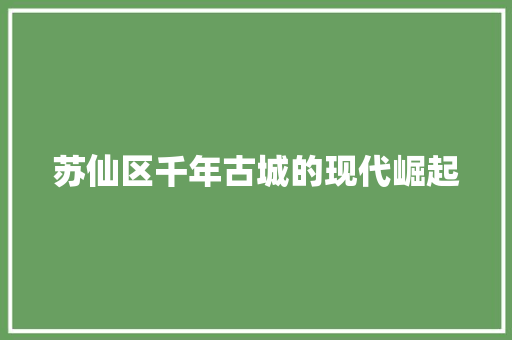 苏仙区千年古城的现代崛起