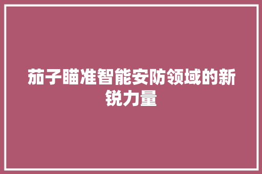 茄子瞄准智能安防领域的新锐力量
