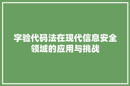 字验代码法在现代信息安全领域的应用与挑战