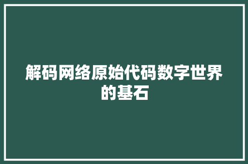 解码网络原始代码数字世界的基石
