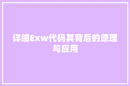 详细Exw代码其背后的原理与应用