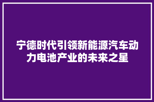 宁德时代引领新能源汽车动力电池产业的未来之星  第1张