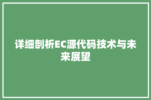 详细剖析EC源代码技术与未来展望