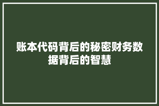 账本代码背后的秘密财务数据背后的智慧