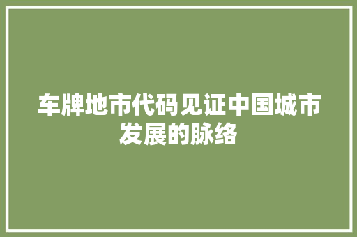 车牌地市代码见证中国城市发展的脉络