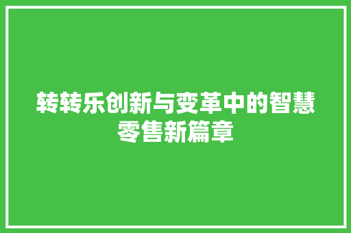 转转乐创新与变革中的智慧零售新篇章