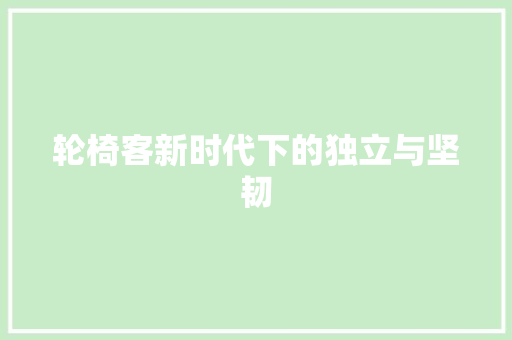 轮椅客新时代下的独立与坚韧