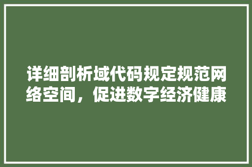 详细剖析域代码规定规范网络空间，促进数字经济健康发展