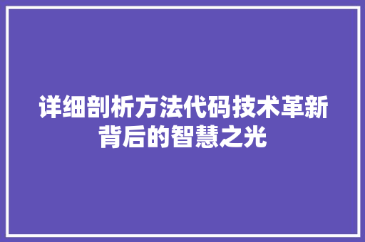 详细剖析方法代码技术革新背后的智慧之光