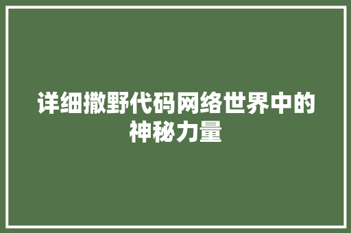 详细撒野代码网络世界中的神秘力量