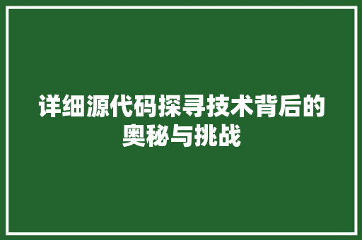详细源代码探寻技术背后的奥秘与挑战