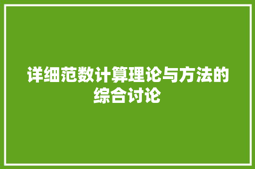 详细范数计算理论与方法的综合讨论