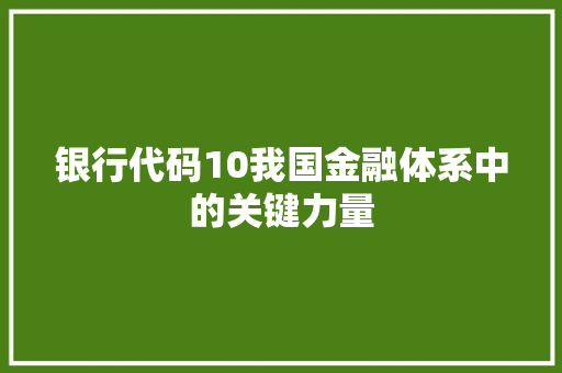 银行代码10我国金融体系中的关键力量
