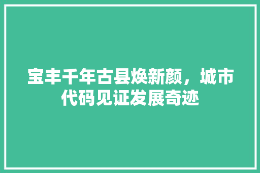宝丰千年古县焕新颜，城市代码见证发展奇迹
