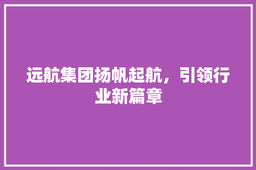 远航集团扬帆起航，引领行业新篇章