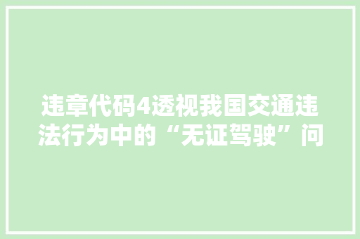 违章代码4透视我国交通违法行为中的“无证驾驶”问题