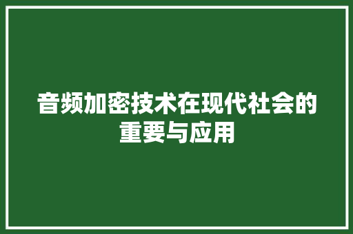 音频加密技术在现代社会的重要与应用