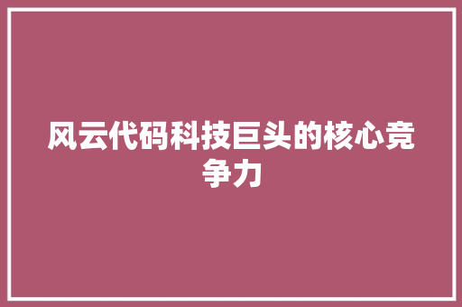 风云代码科技巨头的核心竞争力