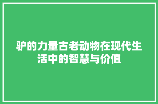 驴的力量古老动物在现代生活中的智慧与价值