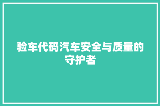 验车代码汽车安全与质量的守护者