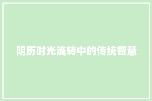 阴历时光流转中的传统智慧