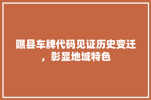 隰县车牌代码见证历史变迁，彰显地域特色