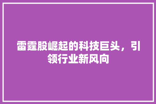 雷霆股崛起的科技巨头，引领行业新风向