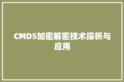 CMD5加密解密技术探析与应用