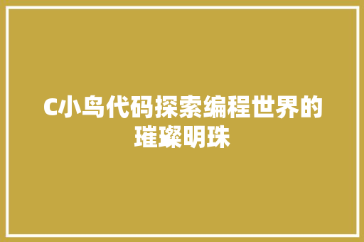 C小鸟代码探索编程世界的璀璨明珠
