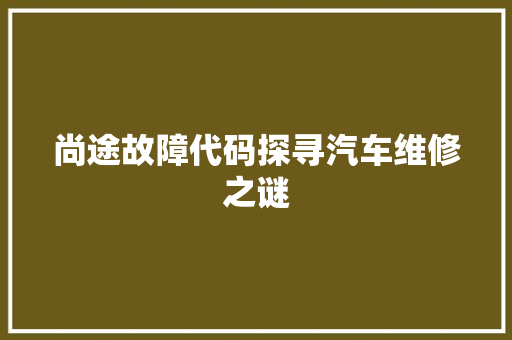 尚途故障代码探寻汽车维修之谜