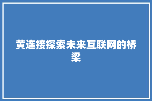 黄连接探索未来互联网的桥梁
