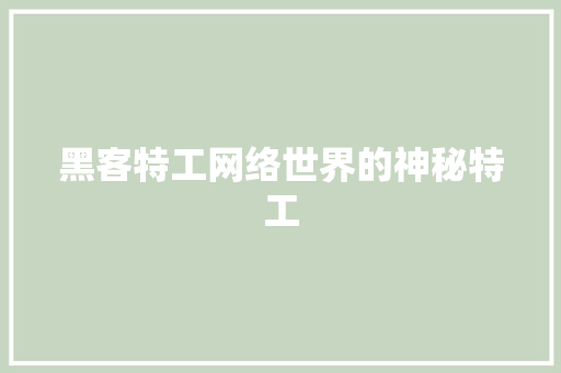 黑客特工网络世界的神秘特工