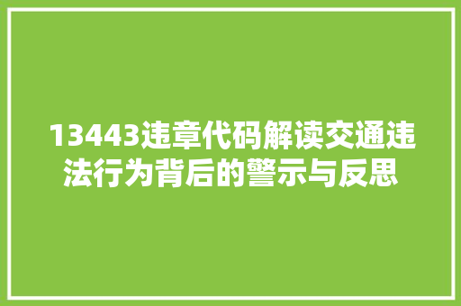 13443违章代码解读交通违法行为背后的警示与反思