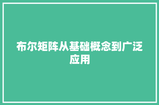布尔矩阵从基础概念到广泛应用