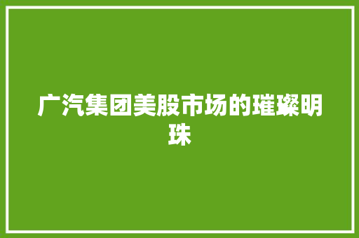 广汽集团美股市场的璀璨明珠