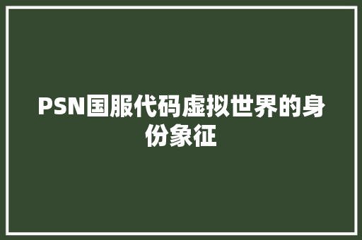 PSN国服代码虚拟世界的身份象征