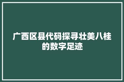 广西区县代码探寻壮美八桂的数字足迹