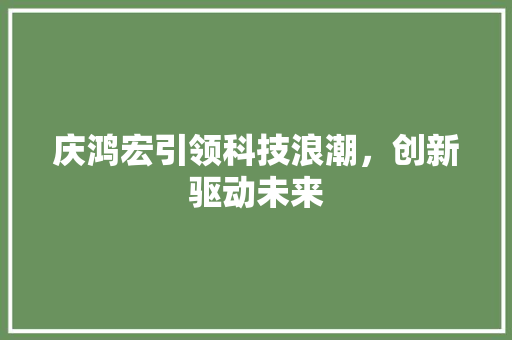 庆鸿宏引领科技浪潮，创新驱动未来