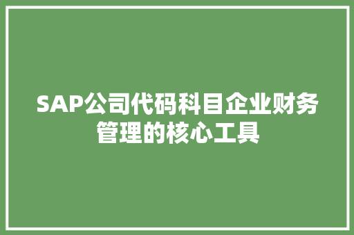 SAP公司代码科目企业财务管理的核心工具