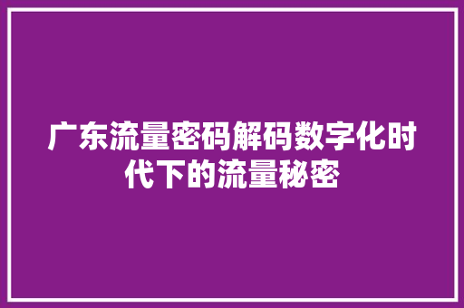 广东流量密码解码数字化时代下的流量秘密