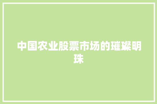 中国农业股票市场的璀璨明珠