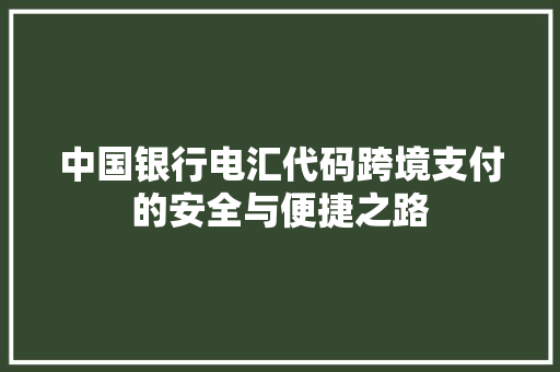 中国银行电汇代码跨境支付的安全与便捷之路