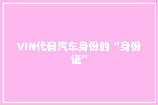 VIN代码汽车身份的“身份证”