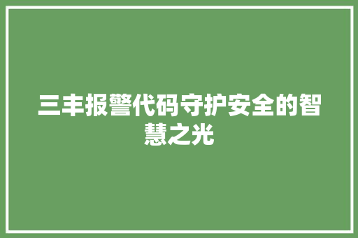 三丰报警代码守护安全的智慧之光
