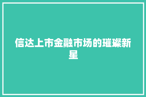 信达上市金融市场的璀璨新星